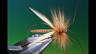 How to make realistic Cranefly  Daddy long legs bodies with Barry Ord Clarke [upl. by Couhp]