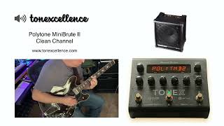 Tonexcellence  ToneX Presets  POLYTONE MINI BRUTE II JAZZ GUITAR AMPLIFIER [upl. by Nicolina733]