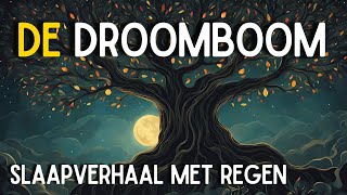 💤 Slaapverhaal met Regen 💤 De Droomboom [upl. by Baruch]