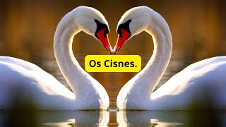 Cisnes A Elegância da Natureza e Seu Papel Crucial nos Ecossistemas [upl. by Aisayt168]