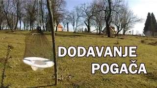 DODAVANJE POGAČE PČELAMA [upl. by Luiza739]