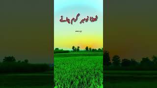 sadbrokenheartpoetryinurdu poetryverysadpoetryinurdu urdusadpoetryurdulovers love virelshorts [upl. by Airehs]