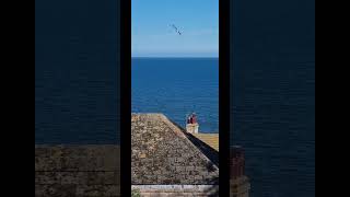 Filey Filey seaside northyorkshire [upl. by Zolly]