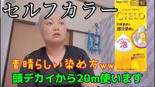 【セルフカラー】素晴らしい染め方で、仕上がりも良き！‪w‪‪w‪ 真夏の脱衣場で汗だくカラー！！ [upl. by Atisusej124]