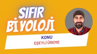 Eşeyli Üreme Sıfır Biyoloji  Dr Biyoloji [upl. by Kevan]