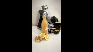 Ingwer Shot Rezept [upl. by Valli]