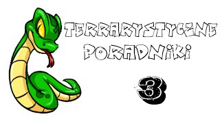 Terrarystyczne poradniki  3  Podstawowe Informacje O Agamach [upl. by Caye112]