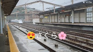 【３２】「新下関駅で通過の迫力💥を体験編」九州→本州山口県下関市を楽しむ旅😍 [upl. by Ainerbas426]