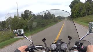 Deer crossing in front of motorcycles [upl. by Pardo]