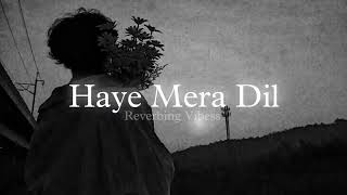 Haye Mera Dil Slowed and Reverb [upl. by Eerolam]