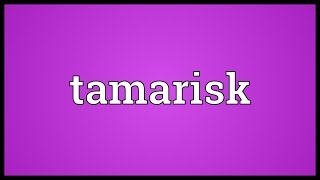 Tamarisk Meaning [upl. by Gnah]