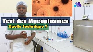 Guide pratique pour détecter Ureaplasma urealyticum et Mycoplasma hominis [upl. by Gladys]