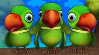 main tota main tota hare rang ka hun dikhta  parrot video  budgie sounds trending [upl. by Brooks]