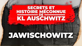 F KL AuschwitzJawischowitz  SECRETS du camp  lhistoire méconnue du KL AuschwitzBirkenau [upl. by Levitan263]