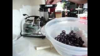 How To Make Fresh Homemade Grape Juice [upl. by February292]