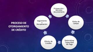 Gestión del Riesgo de Crédito Evaluación Crediticia en Microfinanzas [upl. by Ettenirt]