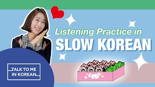 Listening Practice In Slow Korean  Kimbap Picnic Food 소풍 가면 먹는 음식 김밥 한국어 초급 듣기 [upl. by Pell477]