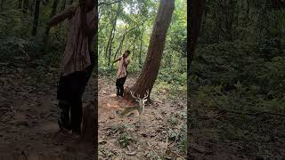 Open deer 🦌 catching 😱youtubeshorts shots trending jangali wildlife videoreels 🦌😱 [upl. by Aurelea]