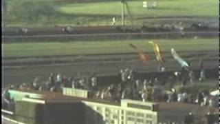 1978 Santa Anita Handicap Vigors Wins The RARE Full Race Version [upl. by Oona346]