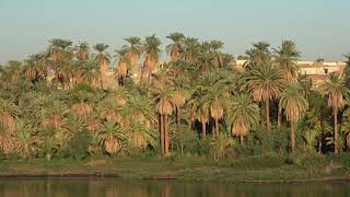 КРУИЗНЫЙ ЕГИПЕТ  КРУИЗ ПО НИЛУ CRUISE EGYPT  CRUISE ON NILE [upl. by Pepper]