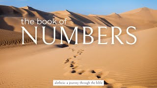 EP 148 NUMBERS 14  ALETHEIA Unveiling Truth  Journey through the Bible [upl. by Columbyne420]