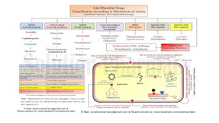 Antibiotics Classification According to Mechanism of Action  Antibiotics  Antibiotics Classes [upl. by Pandora]