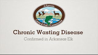 Chronic Wasting Disease Confirmed in an Arkansas Elk [upl. by Jerry]