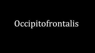 How to pronounce Occipitofrontalis [upl. by Etnahsal]