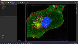 Intensity vs Object Based Coloc [upl. by Joed]