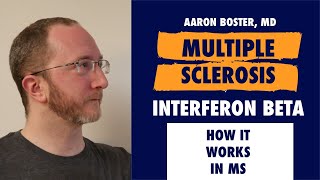 How Interferon Beta products work in MS [upl. by Ennayrb738]