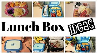 Lunch Box Making School Work amp Home  Week 8  Blessed Jess [upl. by Eimarej]