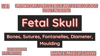 Fetal Skull  Bones Fontanelles Suture Diameter amp Moulding  Hindi [upl. by Noonan]