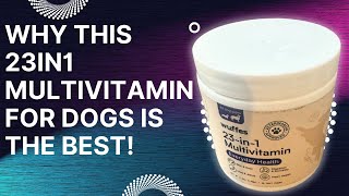 Review of 23 in 1 Chewable Dog Multivitamin [upl. by Nonnair]