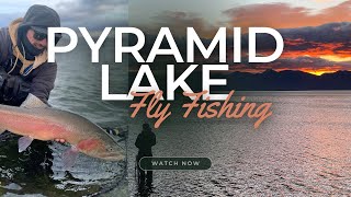 DIY Fly fishing Pyramid Lake NV in February [upl. by Cirnek]