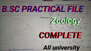 zoologypractical Bsc Zoology practical file complete ArjunLalhn3zz [upl. by Annawik]