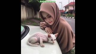 kucing kesayangan tinggal kenangan shortsfeed viralvideo cat animals kucinglucu [upl. by Enelaehs]