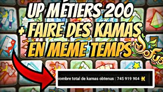 DOFUS ASTUCE KAMAS UP ALL METIERS 200 GRATUITEMENT [upl. by Rudwik]