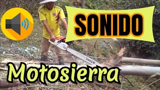 Sonido de motosierra cortando árboles [upl. by Yecaw350]