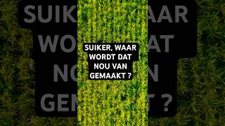 Suiker waar wordt dat nou van gemaakt [upl. by Netsud]