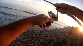 SOFT BAIT FISHING by RAIS  SPOTTER slug Ch2 [upl. by Anzovin121]