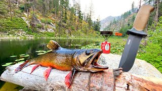 Fishing a Mountain Lake FILLED with HUNGRY TROUT Catch amp Cook [upl. by Neyud]