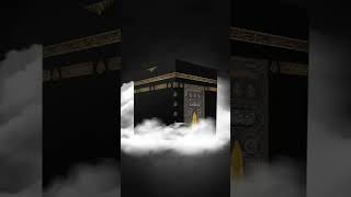 💚💚🤗 allah islamic new life new video youtubeshorts vairalvideo islamic shorts [upl. by Puttergill]