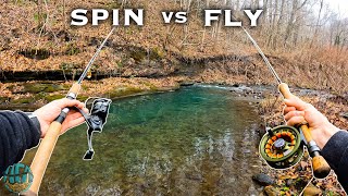 Fly Fishing vs Spin Fishing Which is better Trout Fishing [upl. by Lerrad]