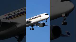 TAKE OFF SINGAPORE AIRLINES [upl. by Jilli]