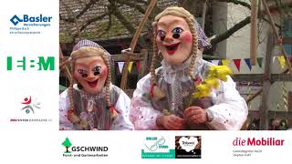 Therwil  die 99er Fasnacht 2018 [upl. by Sisi]