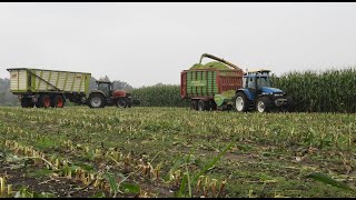 Mais hakselen in Vilsteren met een NH FX 58 [upl. by Eedak]