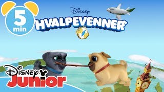 Hvalpevenner  Lær landene at kende 🌍 Disney Junior Danmark [upl. by Ailugram565]