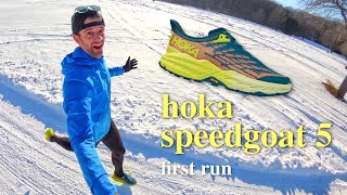 HOKA SPEEDGOAT 5  First Impressions vs Speedgoat 4 and EVO Speedgoat [upl. by Kcinimod]