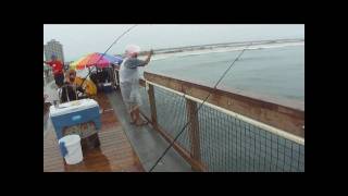 Hardtail fishing  Navarre Beach Fishing Pier 7110 [upl. by Leihcim]