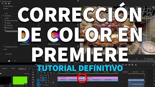 Edición de Color Profesional con Lumetri Color en Premiere Pro Tutorial Completo Fácil y Rápido [upl. by Baynebridge23]